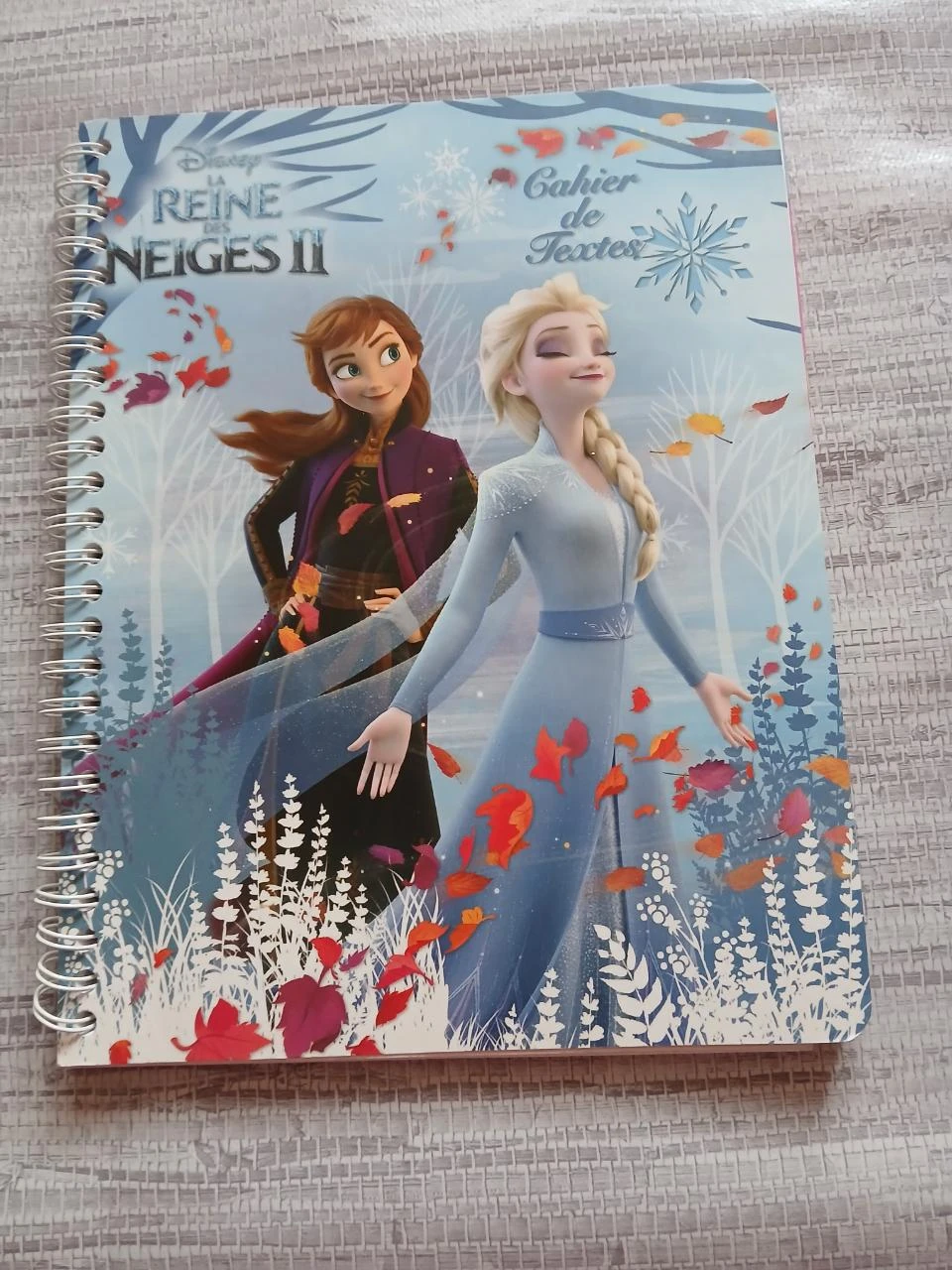 cahier de texte scolaire fille la reine des neiges disney frozen